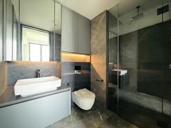 Irwell Hill Residences (D9), Apartment #466580381